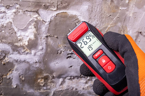 Best Black Mold Removal  in Crooks, SD