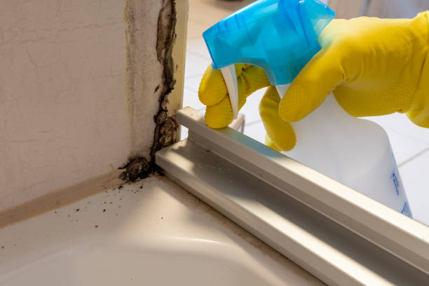Best Commercial Mold Removal  in Crooks, SD